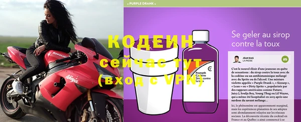ГАЛЛЮЦИНОГЕННЫЕ ГРИБЫ Гусиноозёрск
