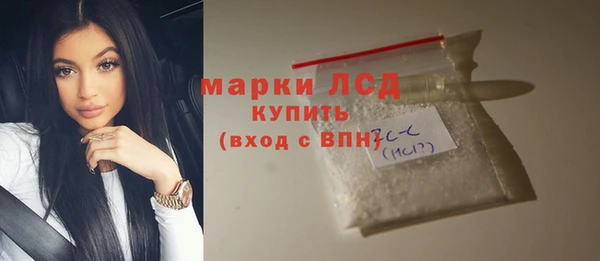 стаф Гусев