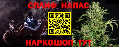 гидропоника Бийск