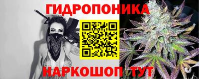гидропоника Бийск