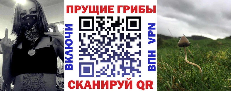 ОМГ ОМГ как войти Железногорск Псилоцибиновые грибы Magic Shrooms