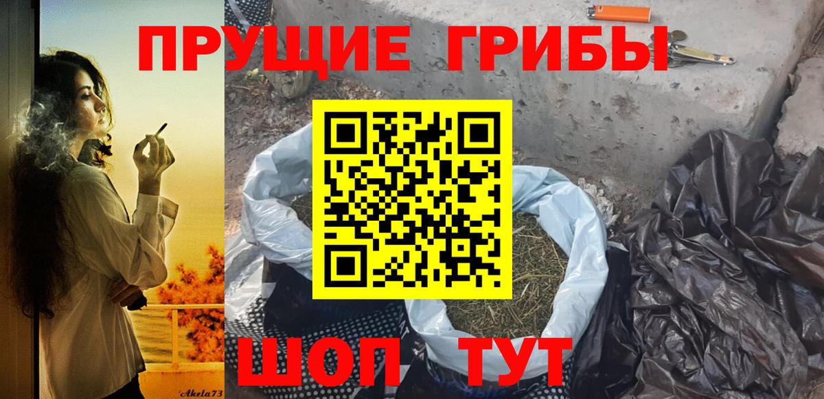 Псилоцибиновые грибы ЛСД  Галлюциногенные грибы Psilocybe  Железногорск 