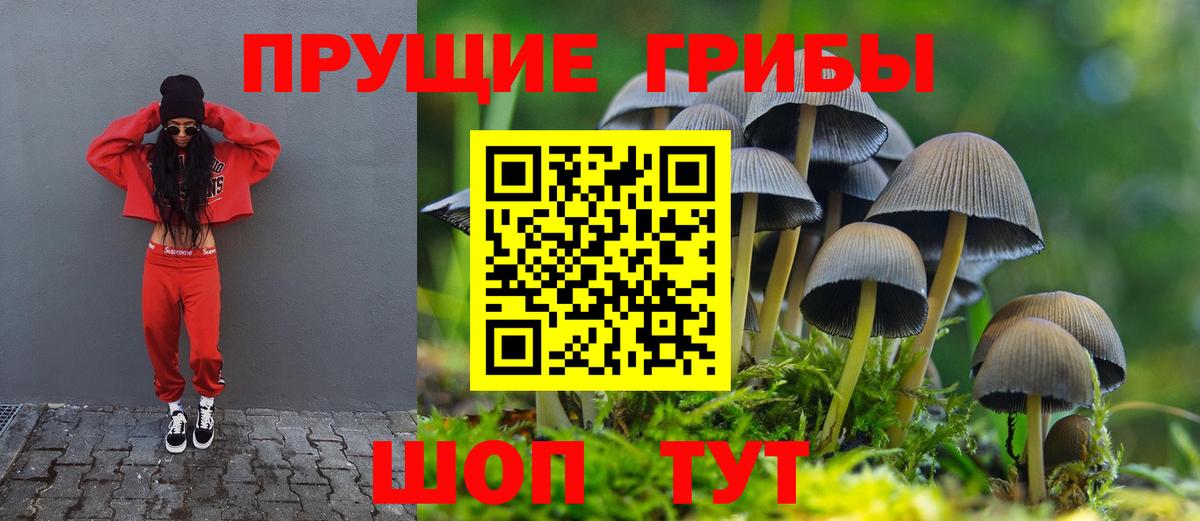 Галлюциногенные грибы Cubensis Железногорск